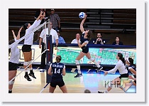 Set 1 * (192 Slides)